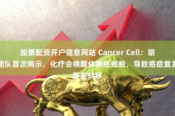 股票配资开户信息网站 Cancer Cell：胡国宏团队首次揭示，化疗会唤醒休眠癌细胞，导致癌症复发转移